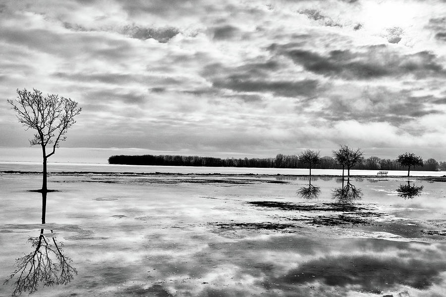 Reflection of trees in a park Photograph by Keith Homan - Fine Art America