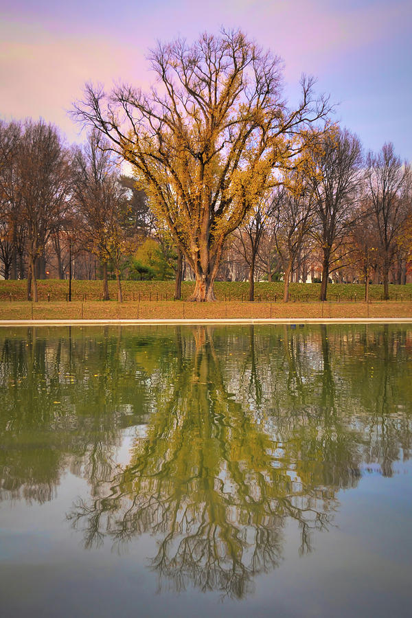 Reflection Symmetry 2 Photograph by Isabela and Skender Cocoli