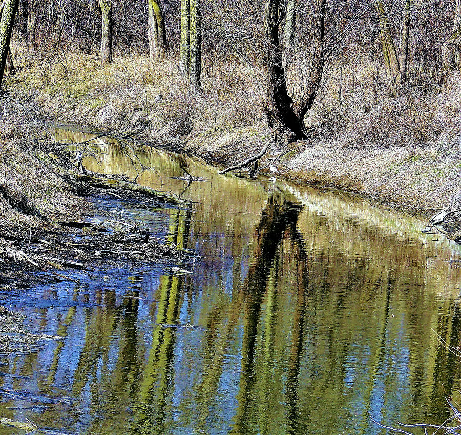 Reflections At Starkweather Creek Photograph