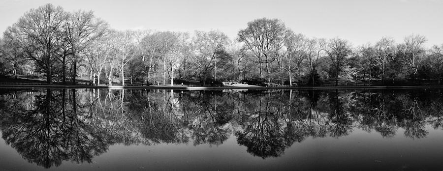 Reflections #1 Photograph by Cornelis Verwaal