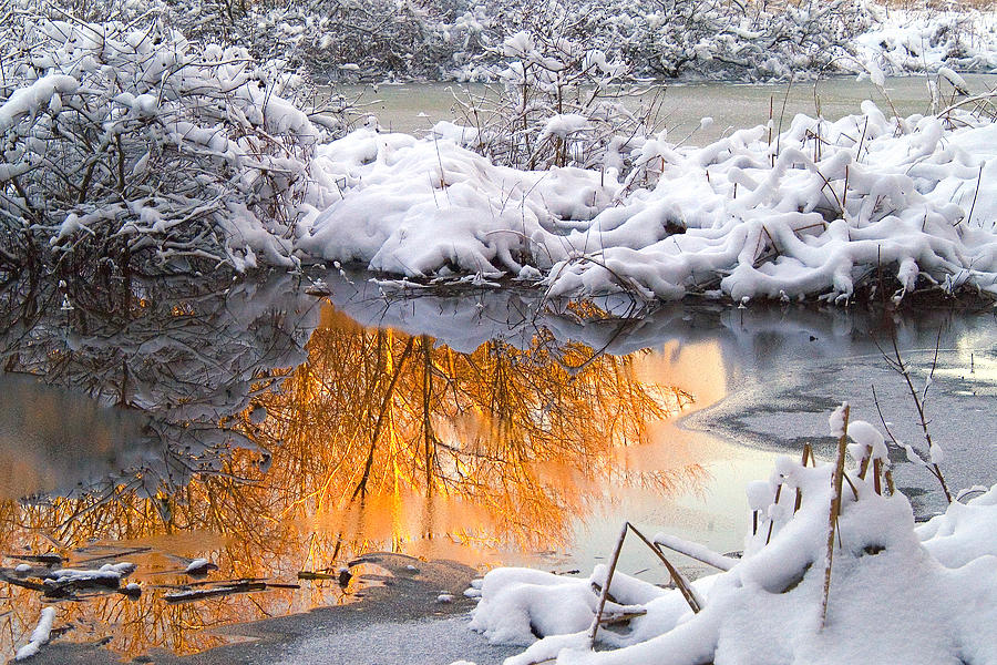 Reflections Photograph - Reflections in Melting Snow #1 by Neil Doren