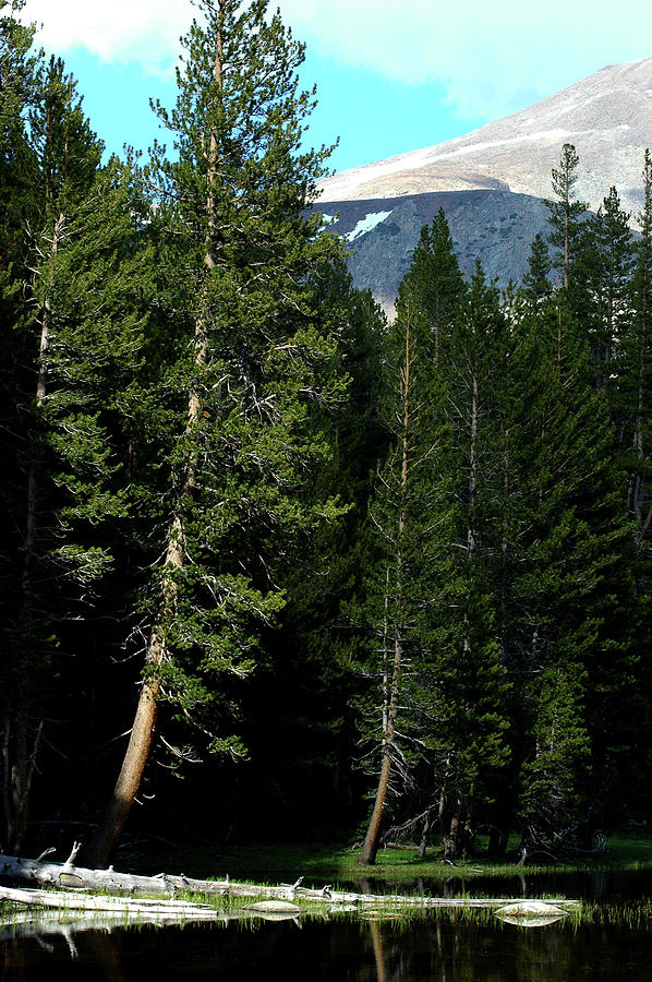 Yosemite National Park Photograph - Reflections in Yosemite #1 by LeeAnn McLaneGoetz McLaneGoetzStudioLLCcom