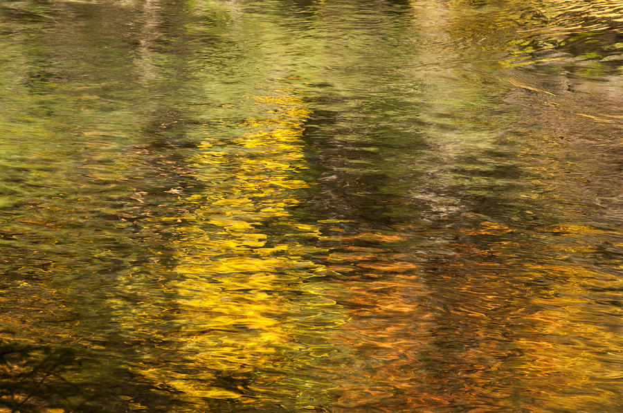 Reflections Of Autumn Photograph
