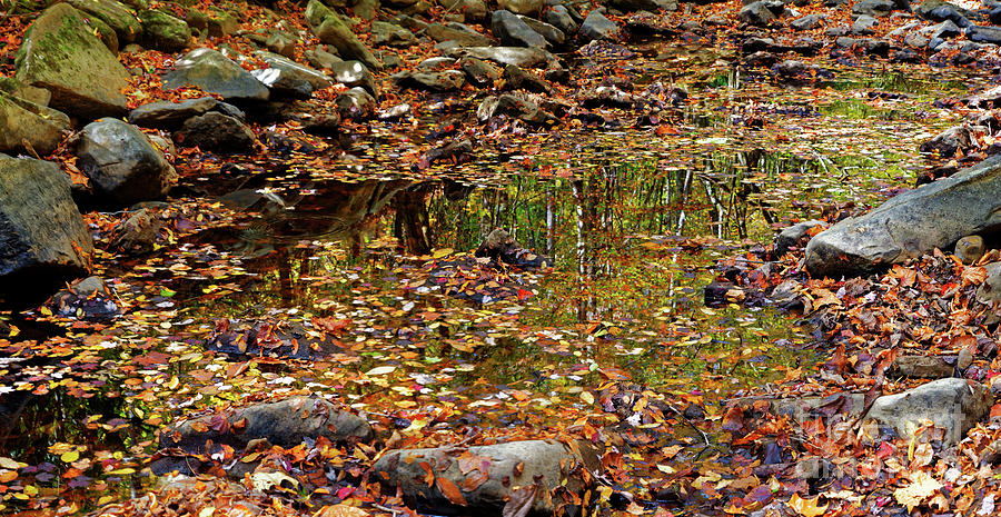 Reflections Of Fall #2 Photograph by Paul Mashburn