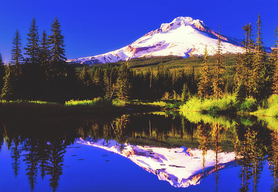 Reflections Of Mount Hood #1 Photograph by Mountain Dreams