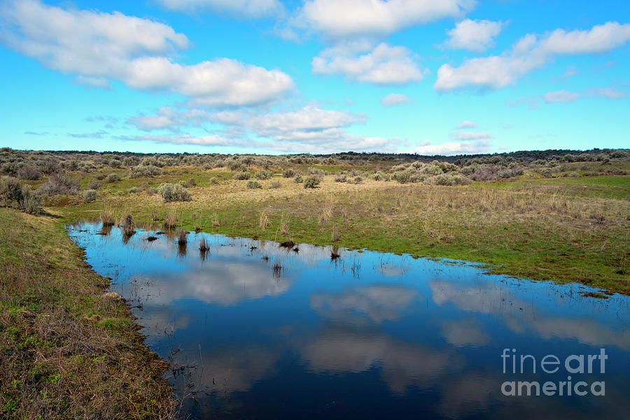 Spring Photograph - Reflections of Spring #2 by Michael Dawson