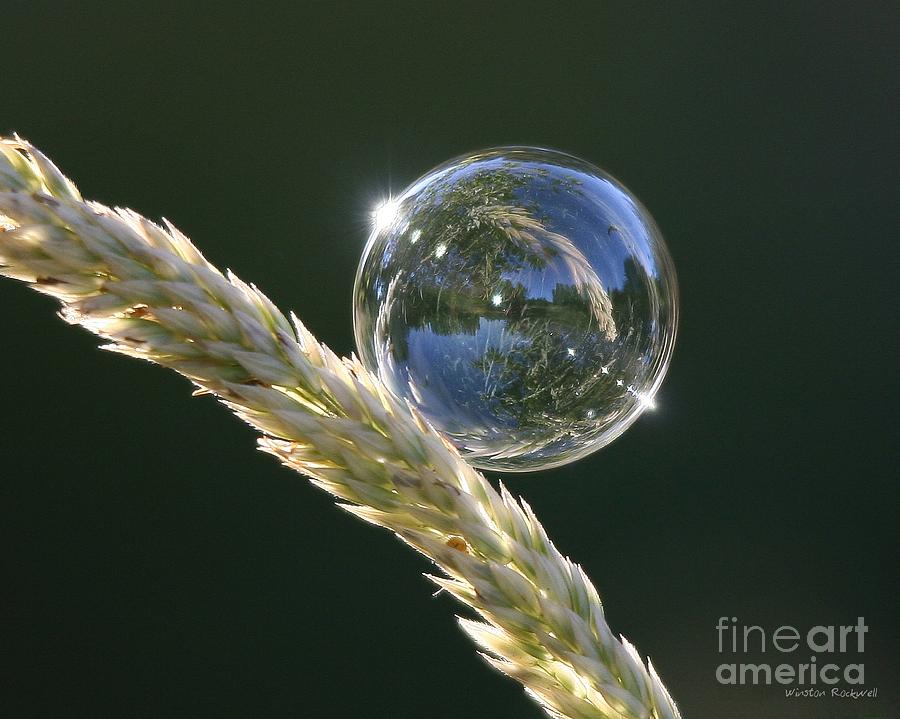 Bubble Photograph - Refraction #1 by Winston Rockwell