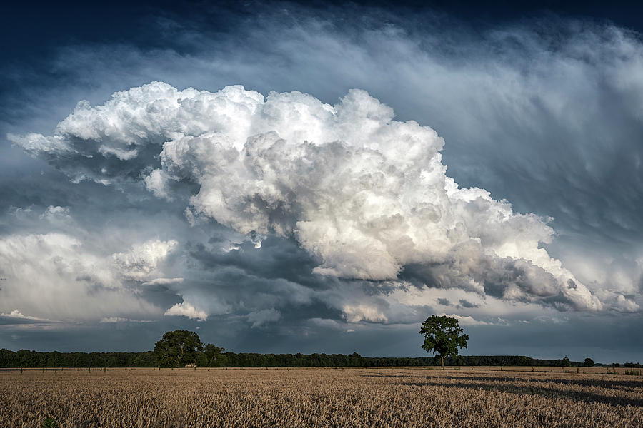 Remnants Of A Storm #1 Photograph by Robert Fawcett