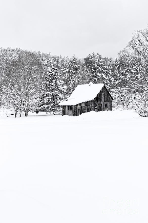 Remote cabin in winter #1 Photograph by Edward Fielding