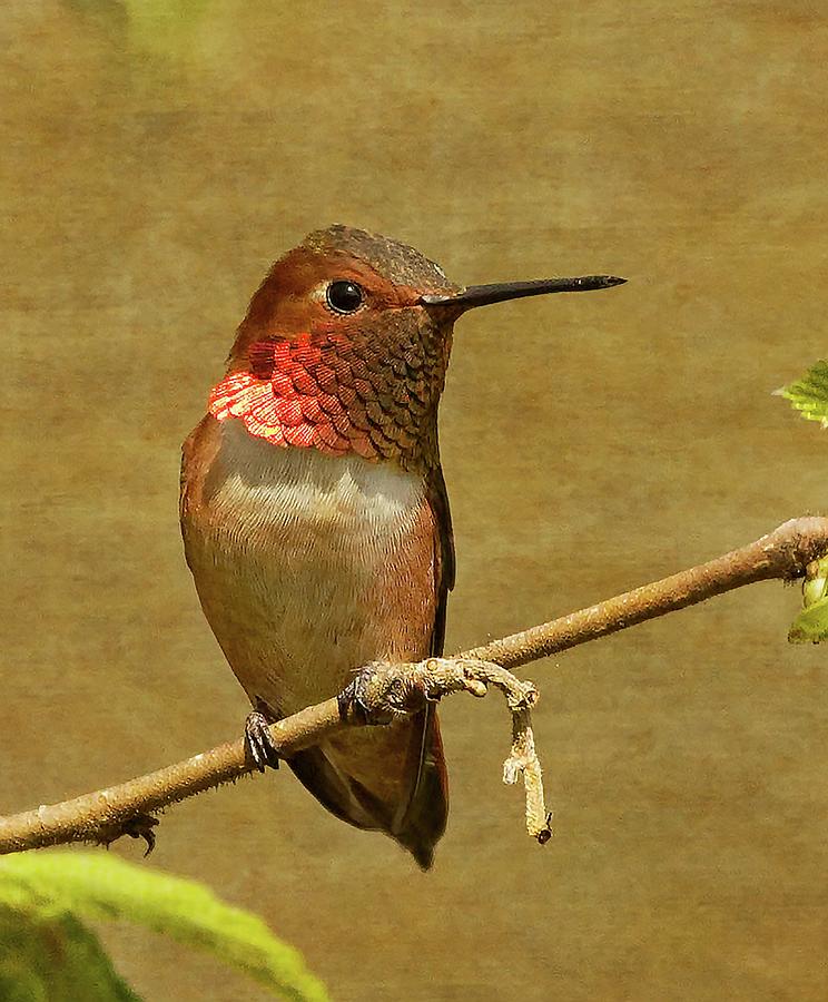 Resting by Sheldon Bilsker Resting by Sheldon Bilsker