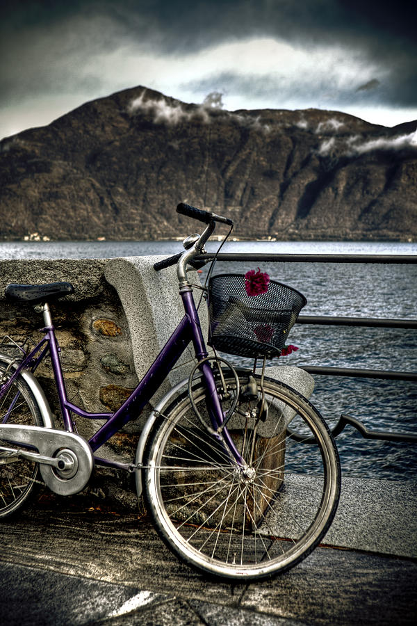 Flower Photograph - Retro Bike #1 by Joana Kruse