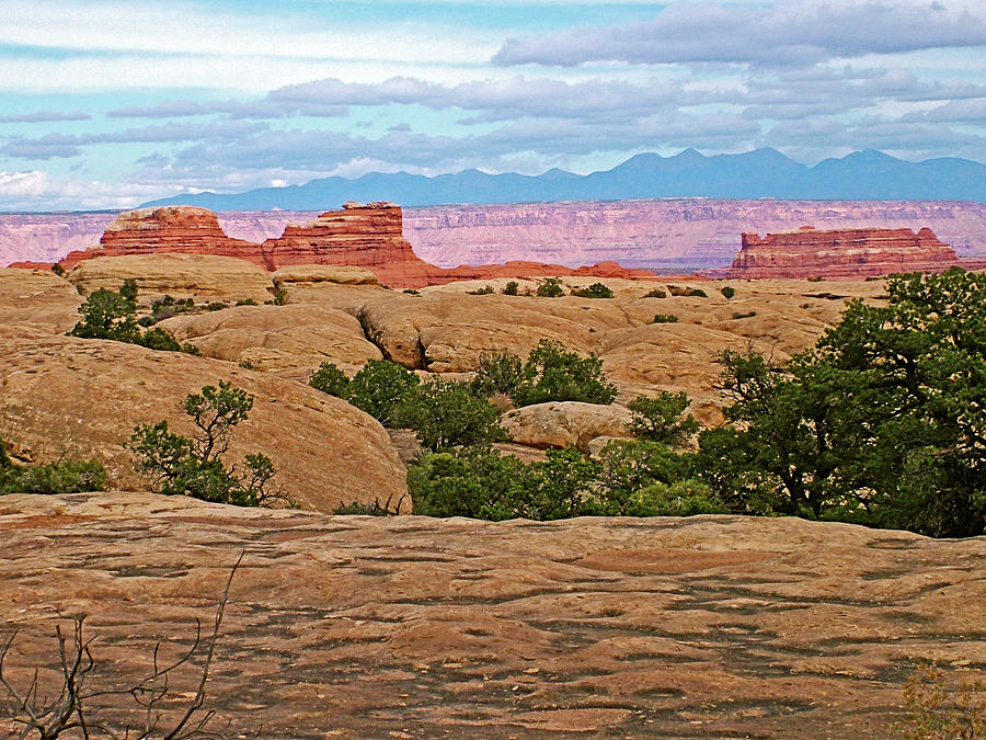 Return Trail to Elephant Hill  in Needles District in  Canyonlands National Park, Utah #1 Photograph by Ruth Hager