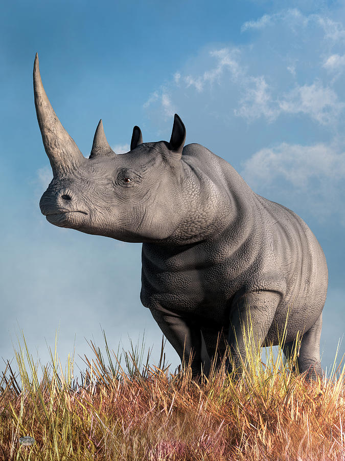 Rhino #2 Digital Art by Daniel Eskridge