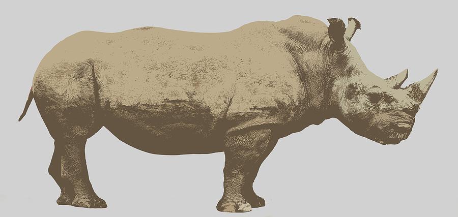 Wildlife Photograph - Rhinoceros Cutout #1 by Greg Noblin