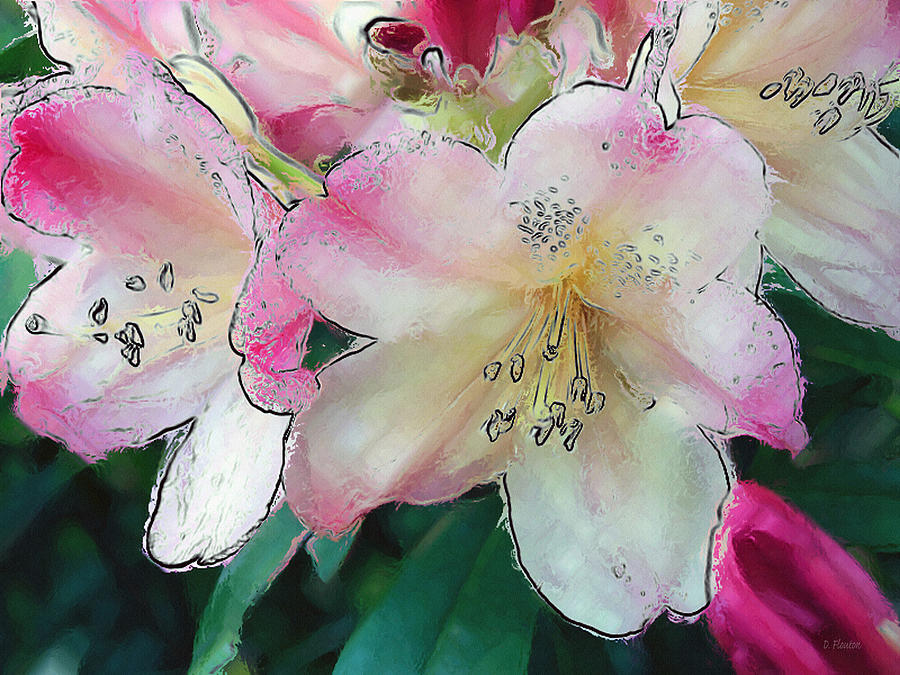Rhodi Blossoms Photograph by Dee Flouton