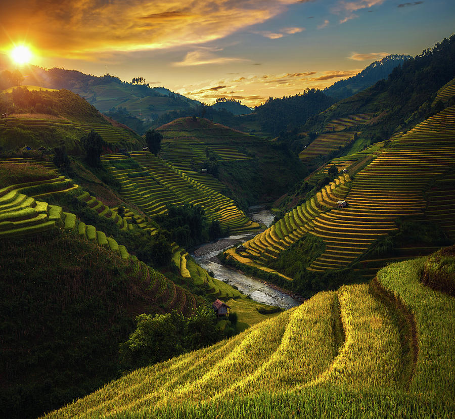 Rice field and rice terrace in Mu cang chai #1 Photograph by Anek Suwannaphoom