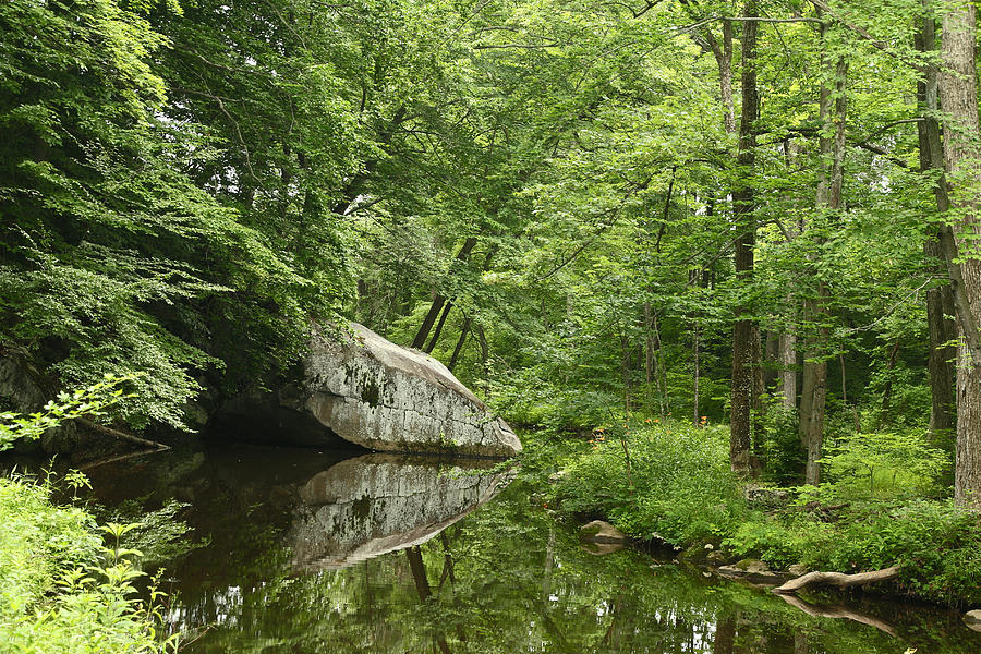 Summer Photograph - Ridge Valley Creek - Green Lane - Pennsylvania - USA #1 by Carol Senske