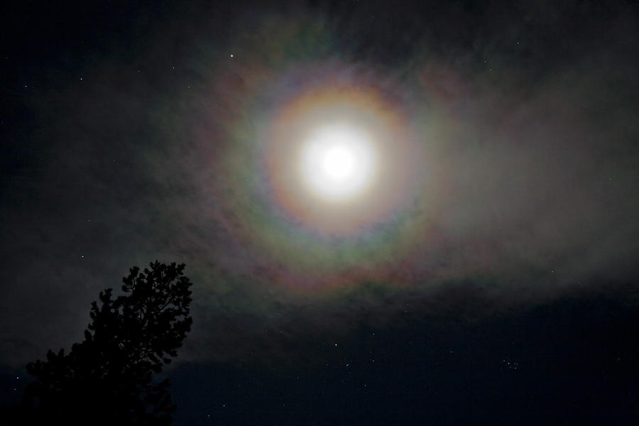 Rings Around the Full Moon Photograph by John Higby