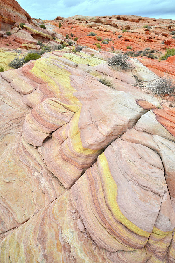Ripples of Color in Valley of Fire #2 Photograph by Ray Mathis