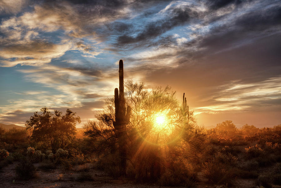 Rise and Shine Arizona  #2 Photograph by Saija Lehtonen