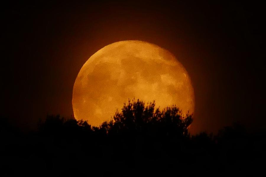 Rising Moon 2 Photograph by Debbie Storie - Fine Art America