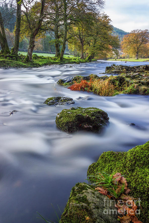 Nature Photograph - River Llugwy #1 by Ian Mitchell