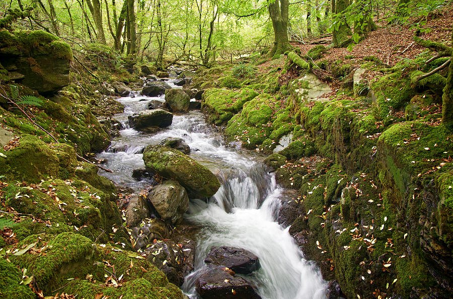 River Lyd on Dartmoor #1 Photograph by Pete Hemington