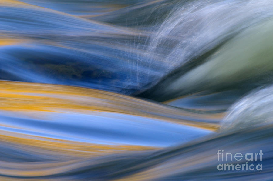 Nature Photograph - River by Silke Magino