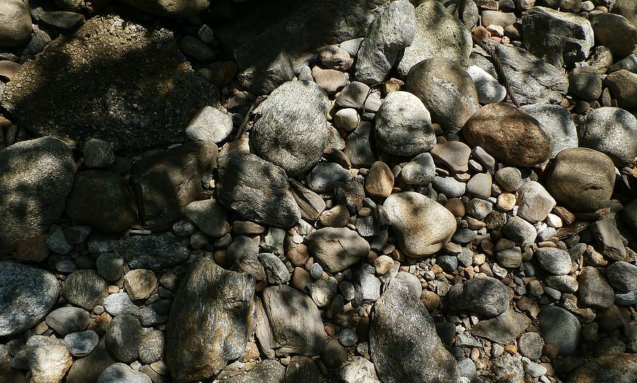 River Stones #1 Photograph by Wolfgang Schweizer