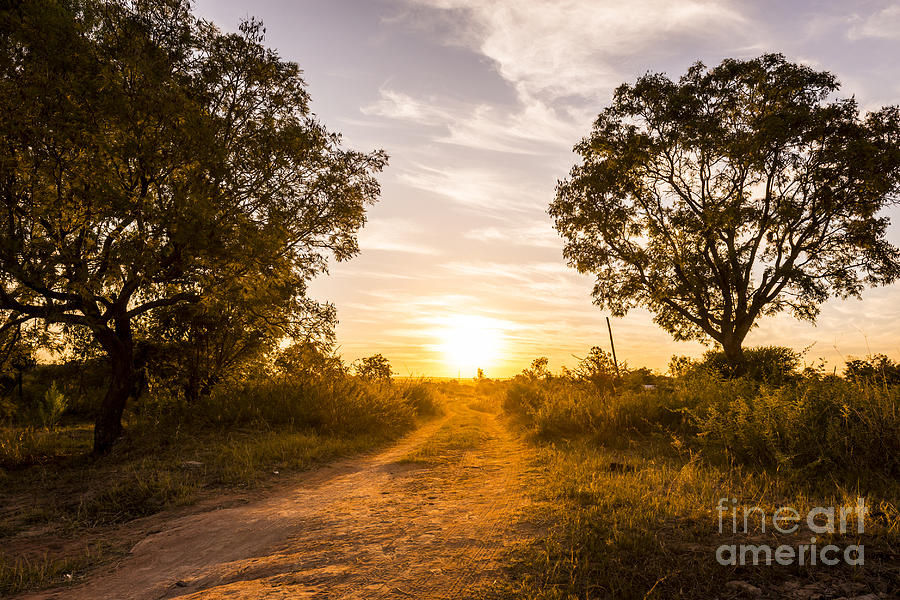 Nature Photograph - Road In Africa #1 by THP Creative