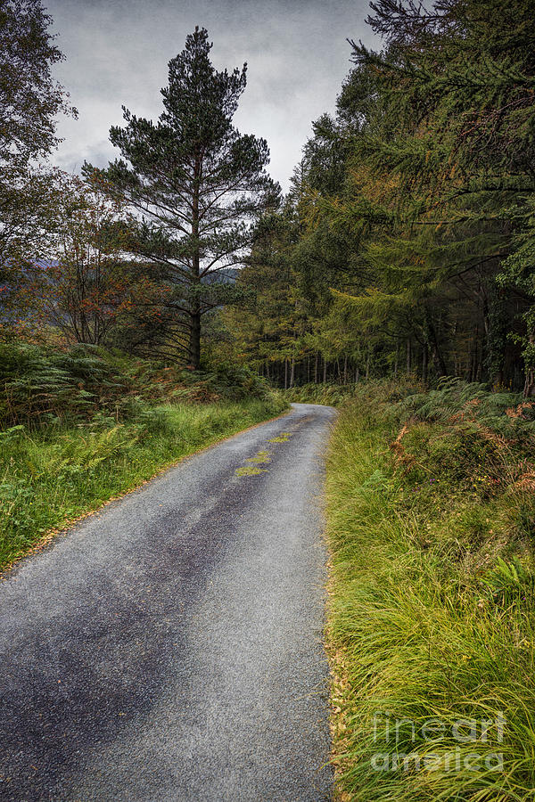 Nature Photograph - Road To Freedom #1 by Ian Mitchell