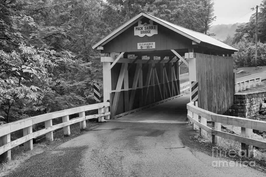 Road To The Packsaddle Covered Bridge #1 Photograph by Adam Jewell