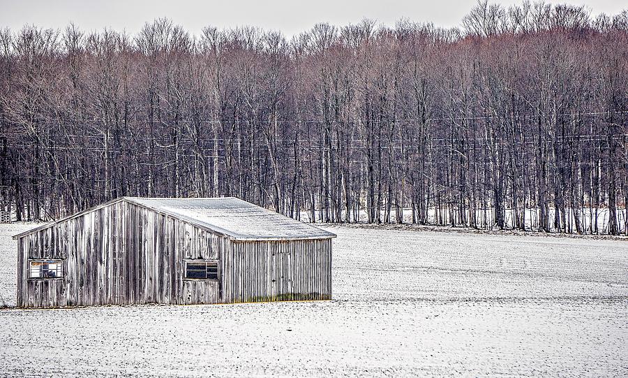 Roadside Trees And Farms In Michigan During Winter #1 Photograph by Alex Grichenko