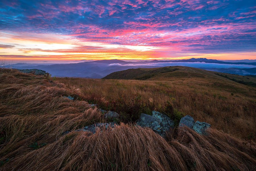 Roan Mountain Sunrise #1 Photograph by Serge Skiba