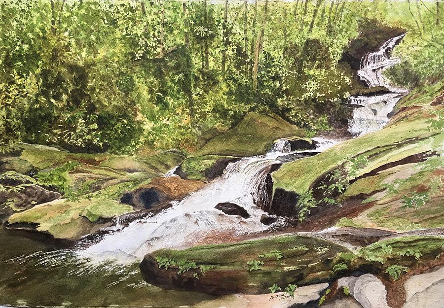 Roaring Fork Falls -- June 2017 #1 Painting by Joel Deutsch