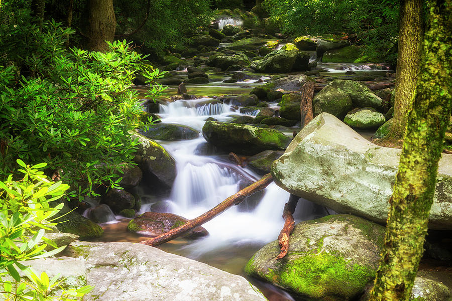 Roaring Fork Photograph - Roaring River #1 by Todd Ryburn