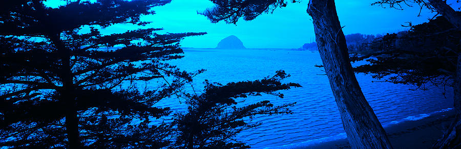 Nature Photograph - Rock In A Lake At Dusk, Morro Rock #1 by Panoramic Images