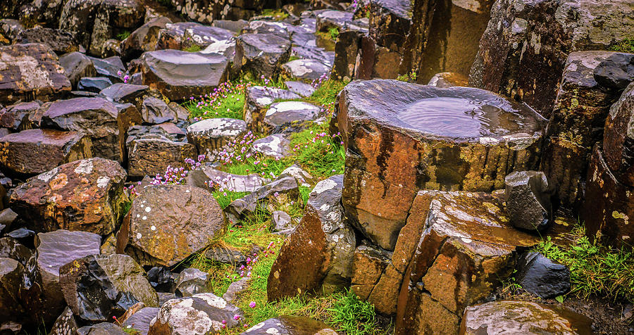 Rocks in the Rain - Giants Causeway #2 Photograph by Lexa Harpell