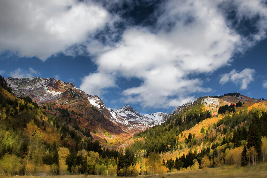 Rocky Mountain Fall #1 Photograph by Mark Smith