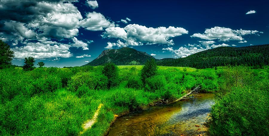 Rocky Mountain Meadow #1 Photograph by Mountain Dreams