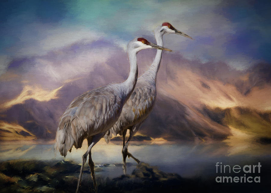 Rocky Mountain Sandhill Cranes Painting by Janice Pariza