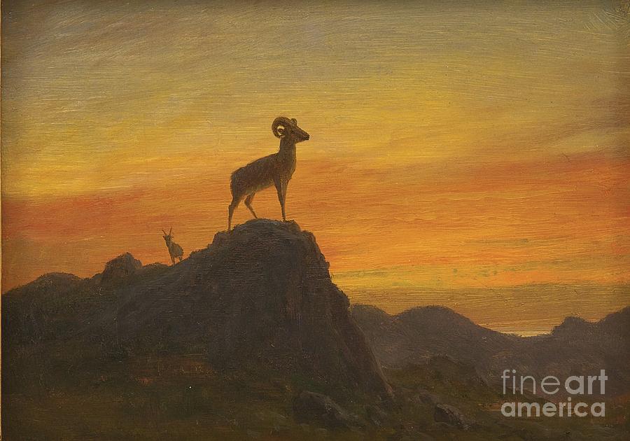 Albert Bierstadt  Painting - Rocky Mountain Sheep #1 by MotionAge Designs
