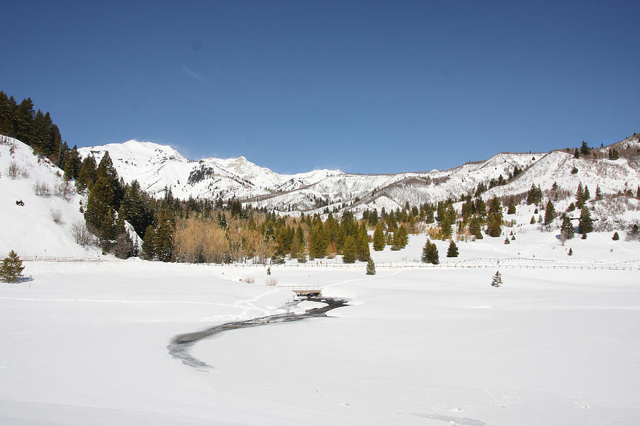 Rocky Mountain winter Photograph by Mark Smith