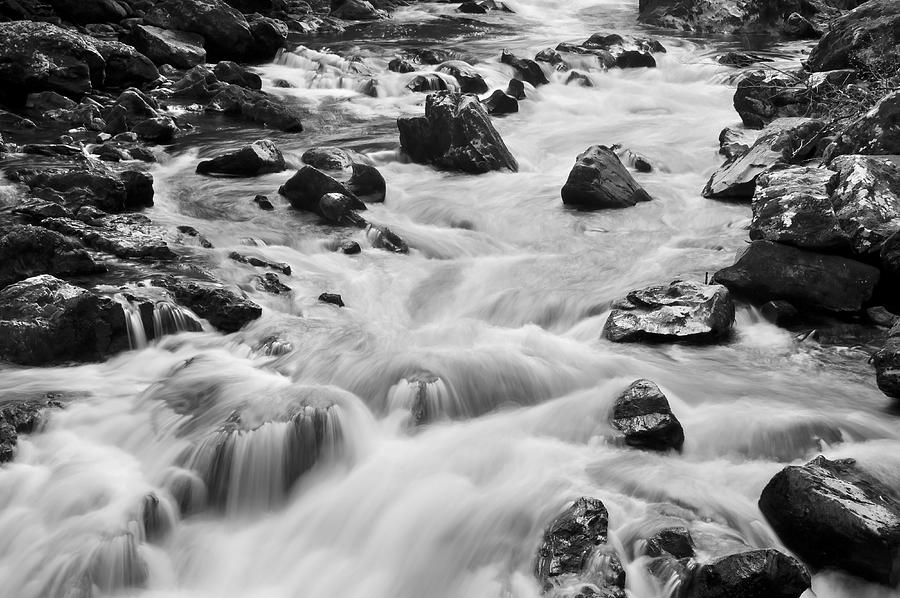 Jungle Photograph - Rocky River #1 by Svetlana Sewell