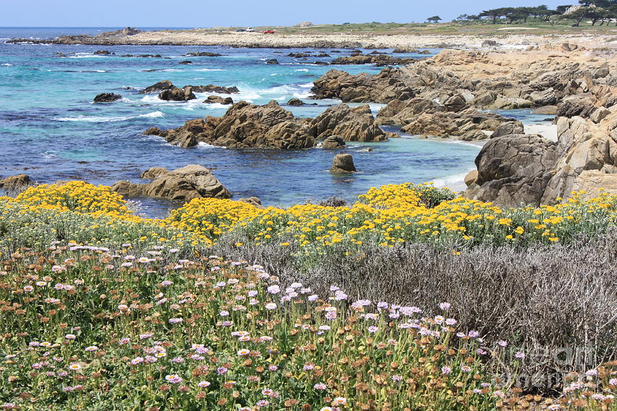 Rocky Surf with Wildflowers #1 Photograph by Carol Groenen