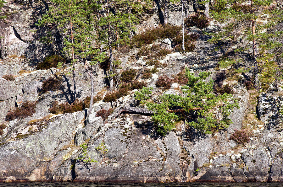 Rocky Water Edge #1 Photograph by Jarmo Honkanen