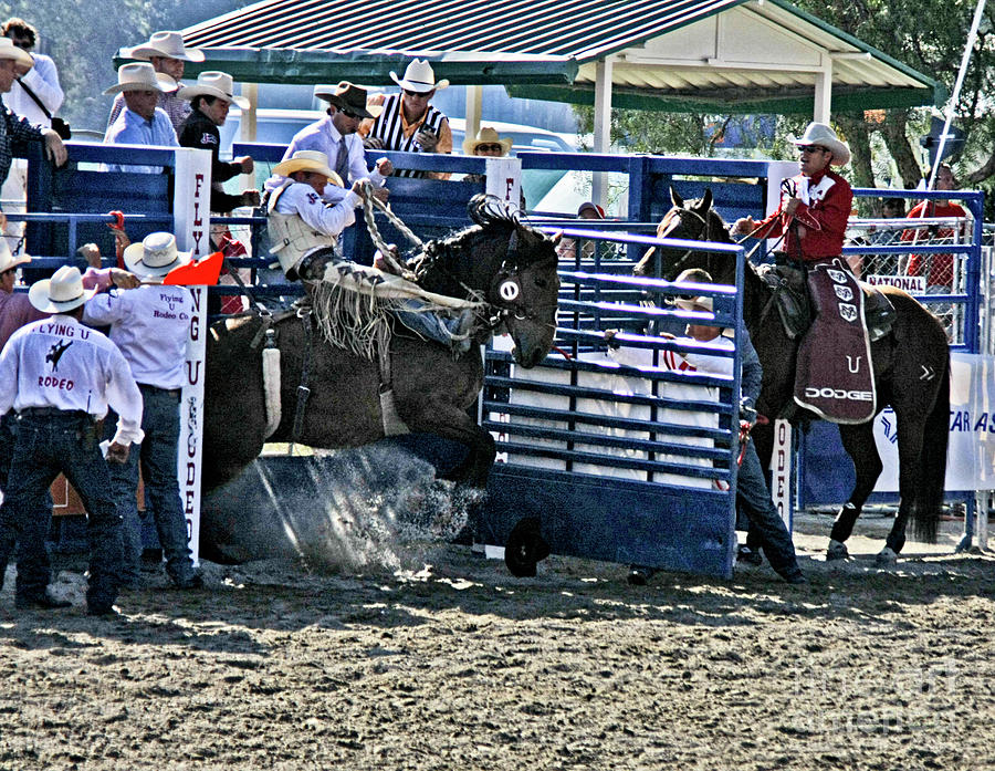 Rodeo 8 #1 Photograph by Tom Griffithe