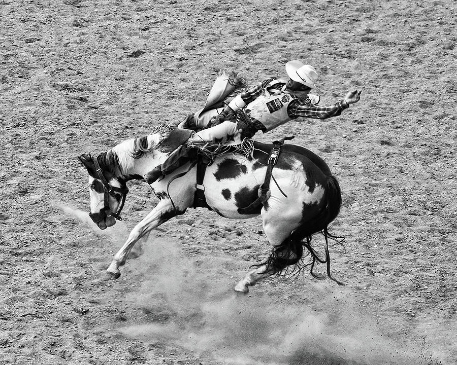 Rodeo #1 Photograph by John Freidenberg