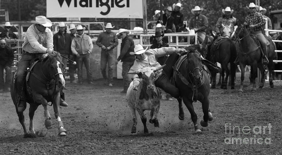 Rodeo Steer Wrestling 6 Photograph by Bob Christopher