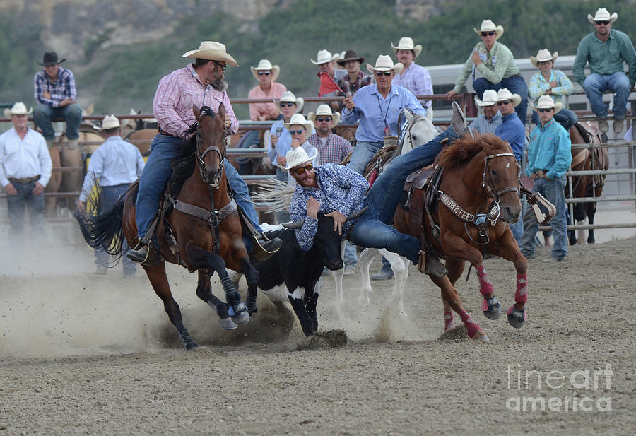 Rodeo Steer Wrestling 3 #2 Photograph by Bob Christopher